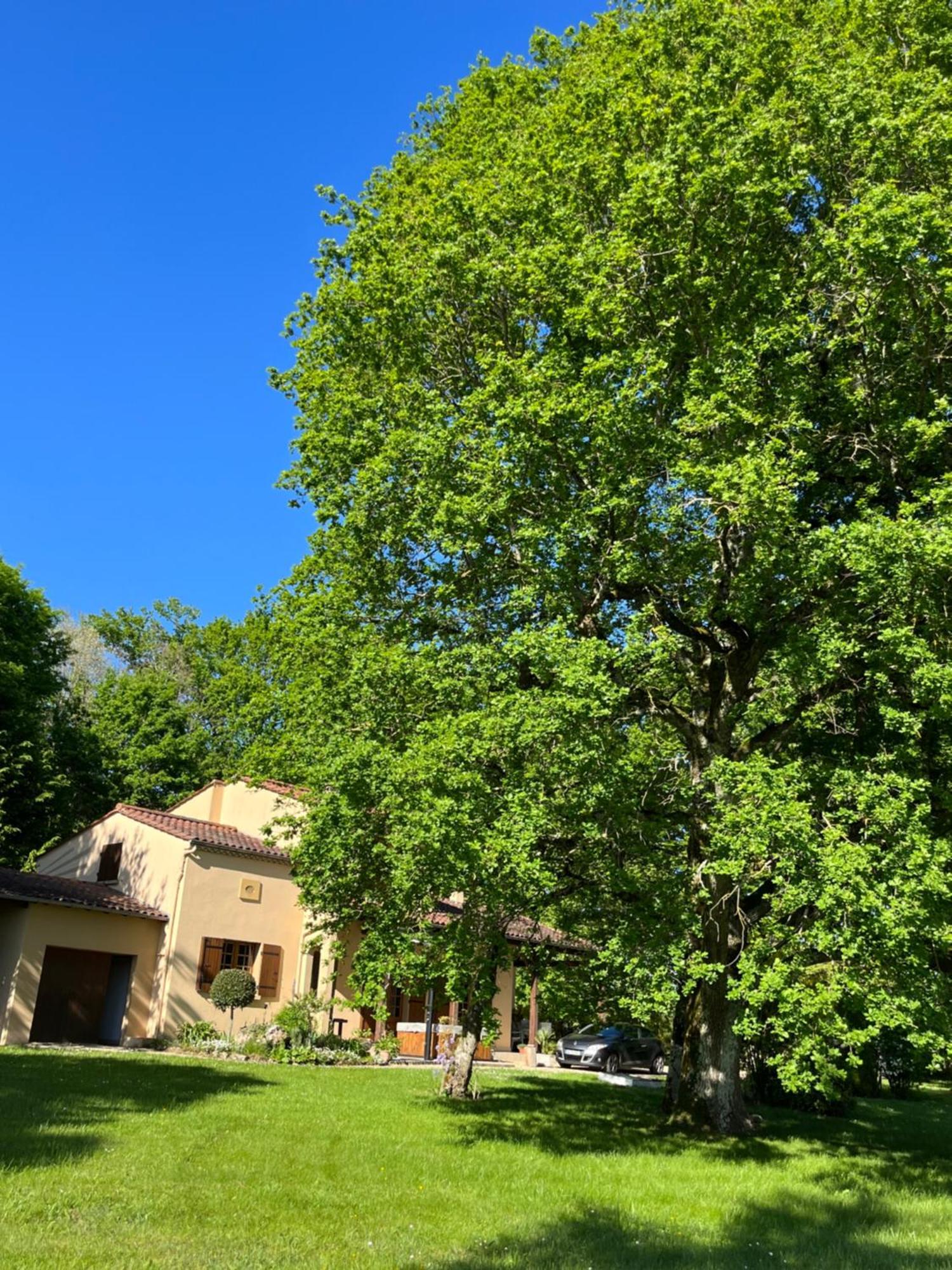 Maison De Vacances Macou 2 Capdrot Zewnętrze zdjęcie